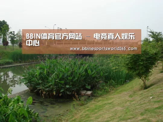 案例展示四(图1)