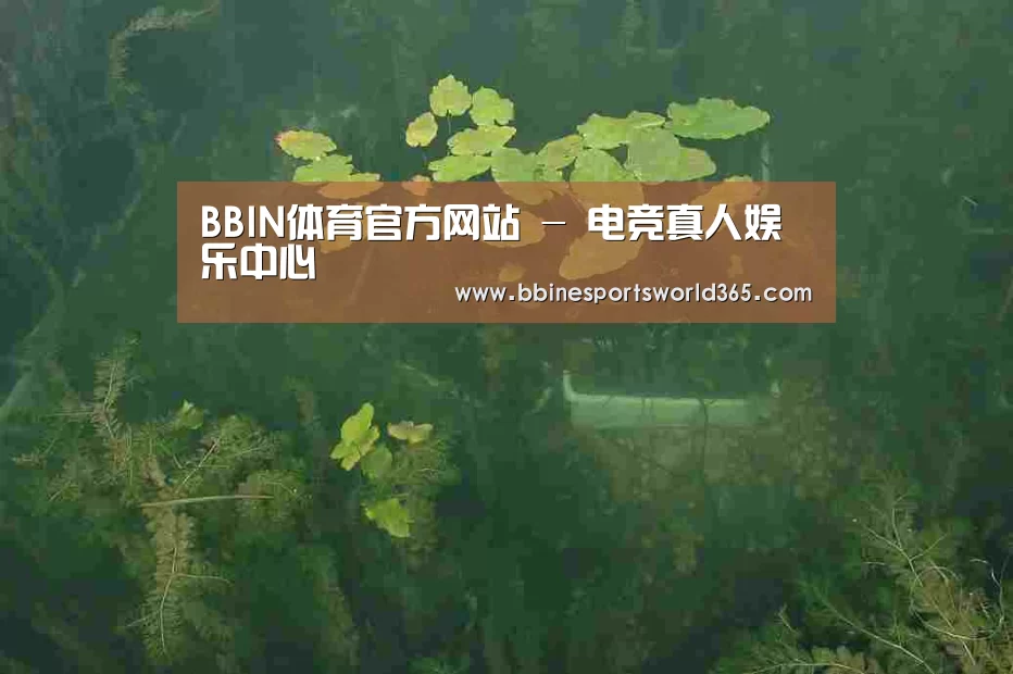 案例展示三(图1)