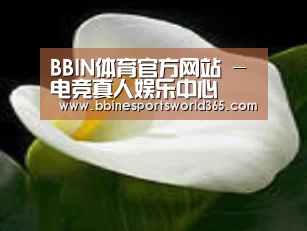 产品名称七