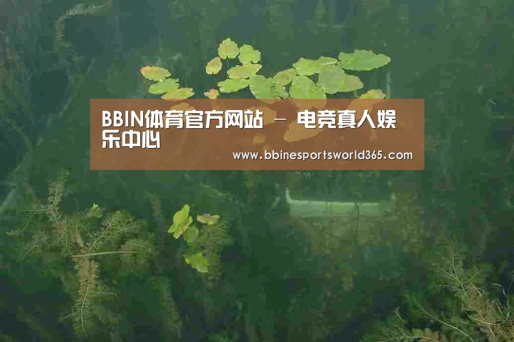 案例展示三