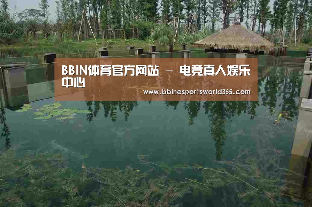 案例展示二