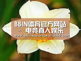 产品名称四