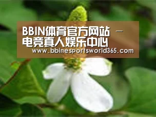 产品名称三