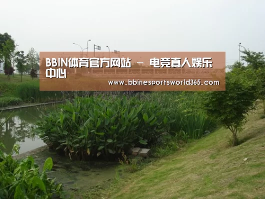 案例展示四