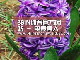 产品名称八