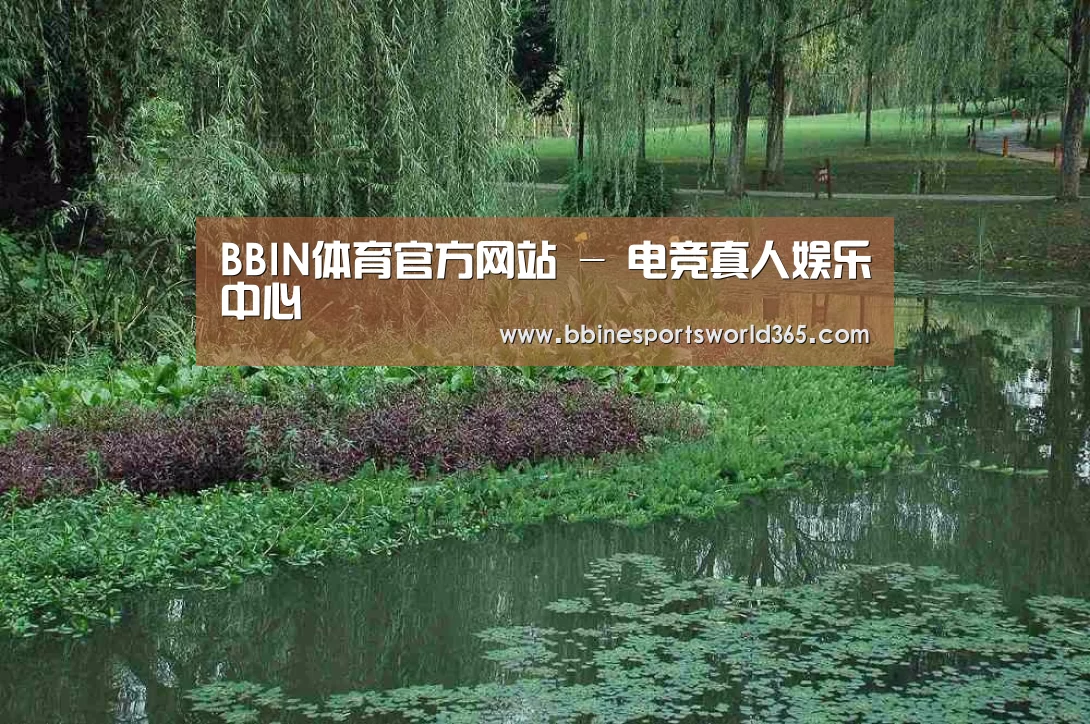 案例展示一