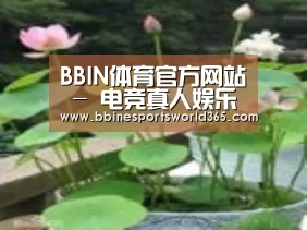 产品名称一