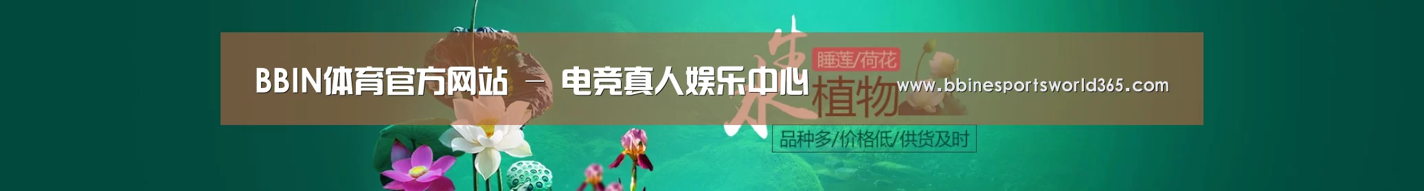 鲜花水草花卉网站模板