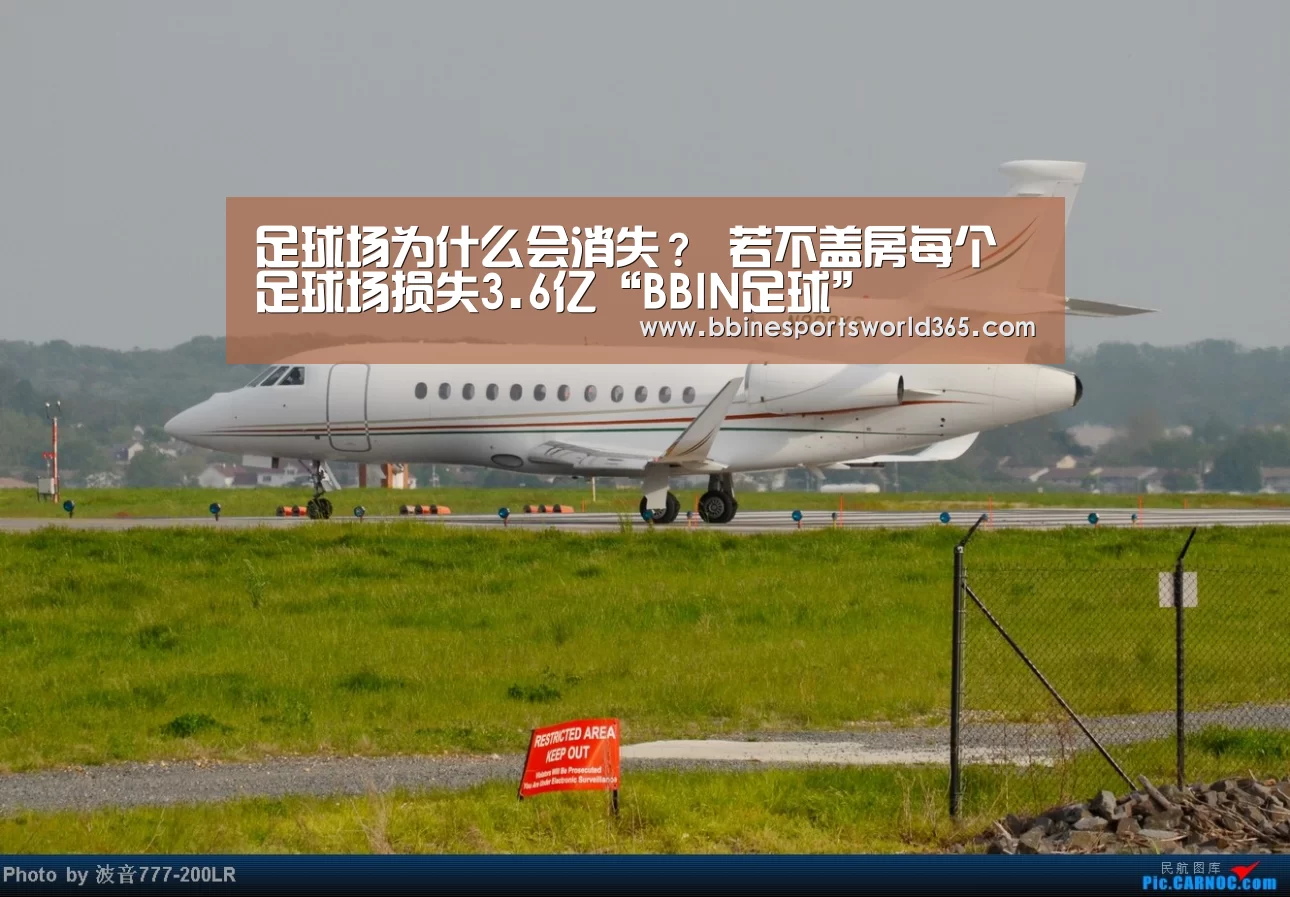 足球场为什么会消失? 若不盖房每个足球场损失3.6亿“BBIN足球”(图3) BBIN官网