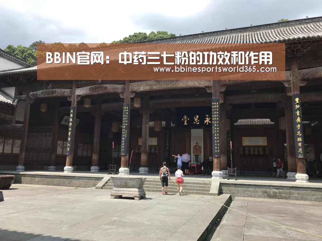 BBIN官网:中药三七粉的功效和作用(图4) BBIN平台