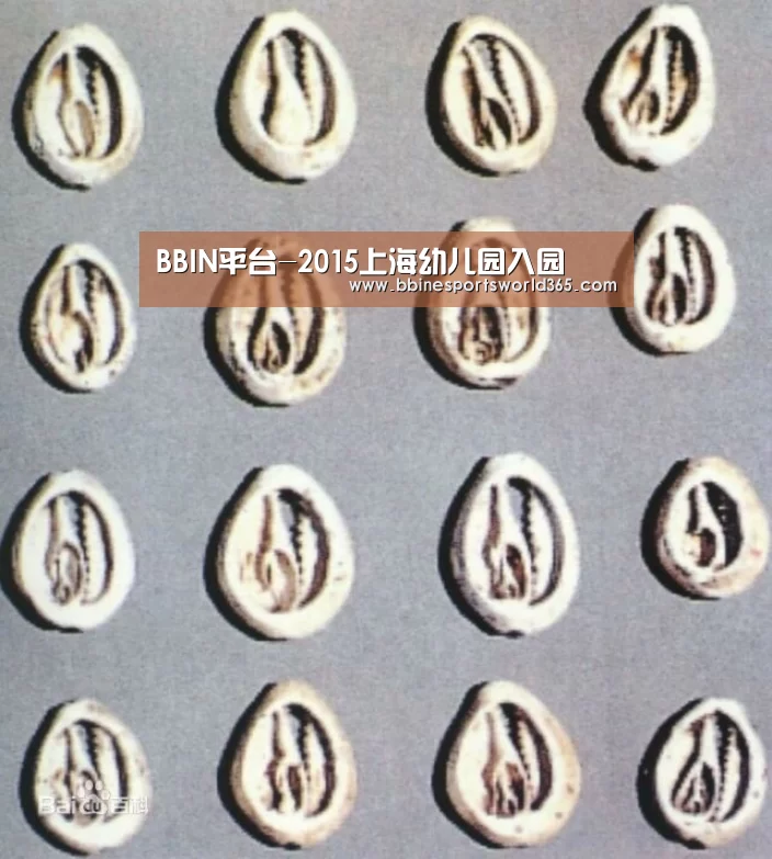 BBIN足球