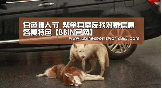 白色情人节 帮单身室友找对象信息各具特色【BBIN官网】(图1) BBIN官网
