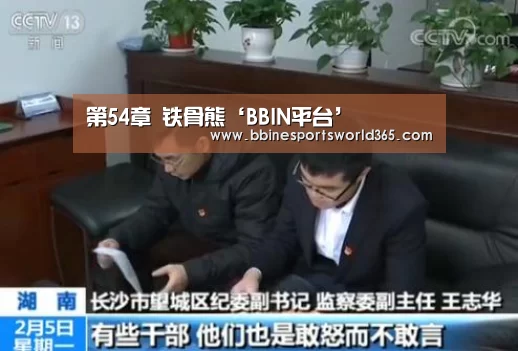 第54章 铁骨熊‘BBIN平台’(图1) BBIN娱乐