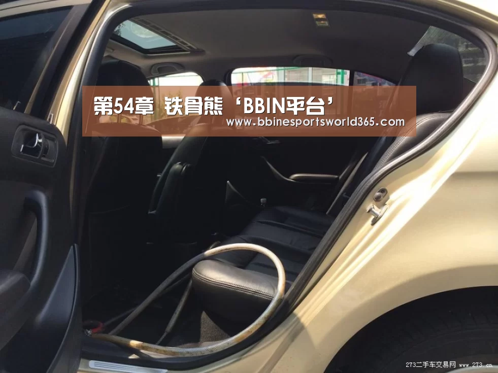 第54章 铁骨熊‘BBIN平台’(图3) BBIN官网