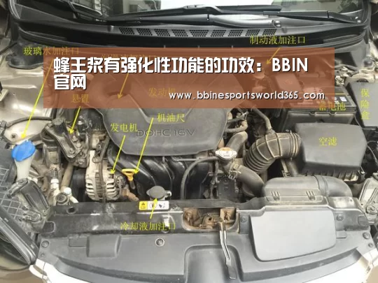 蜂王浆有强化性功能的功效:BBIN官网(图1) BBIN足球